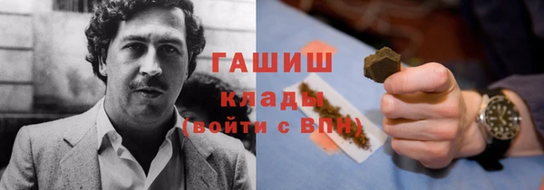 шишки Алзамай