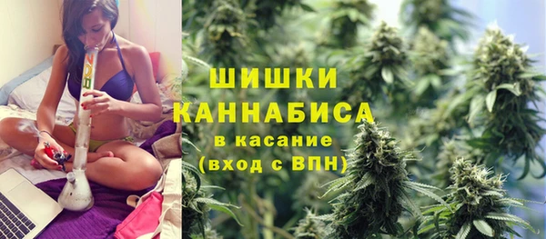сатива Зерноград