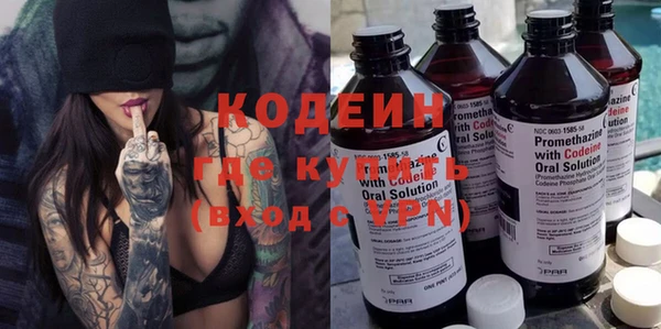 ПСИЛОЦИБИНОВЫЕ ГРИБЫ Арсеньев
