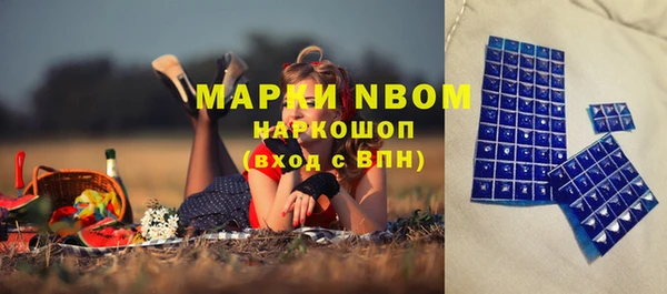 ПСИЛОЦИБИНОВЫЕ ГРИБЫ Арсеньев
